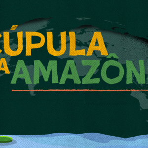 Governo defende resultado da Cúpula da Amazônia e seu …